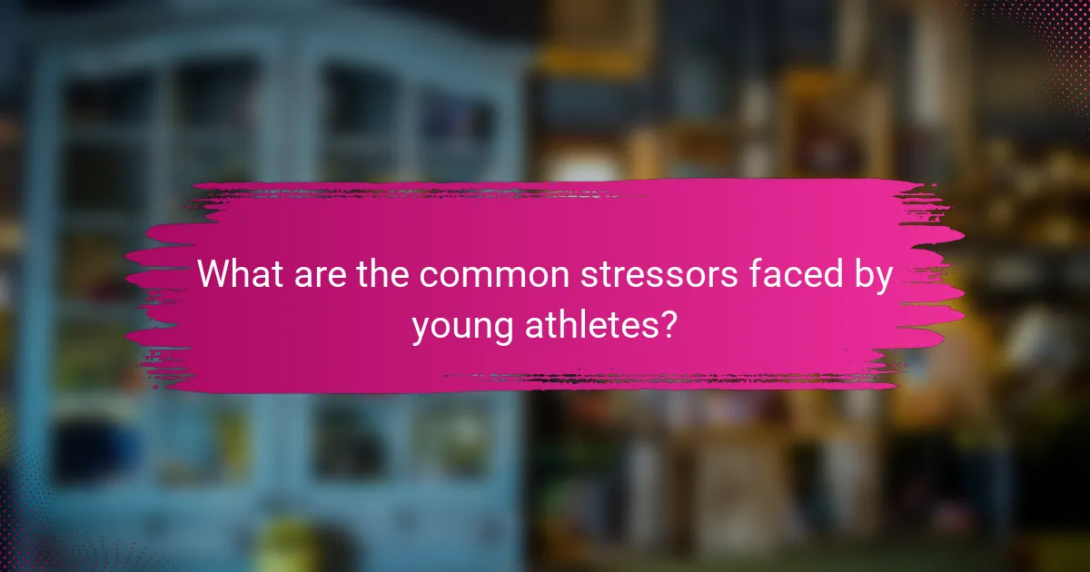 What are the common stressors faced by young athletes?
